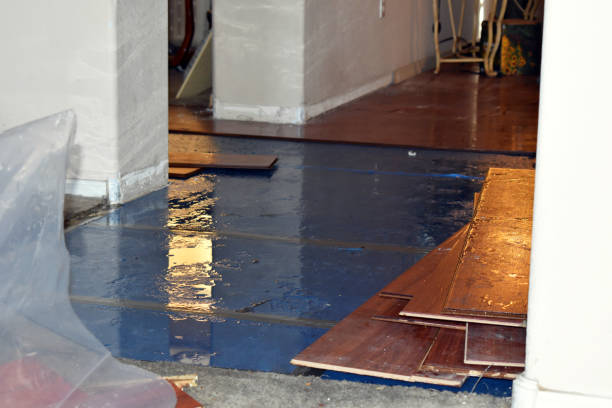Professional Burst Pipe Cleanup technician working in Henderson, NC